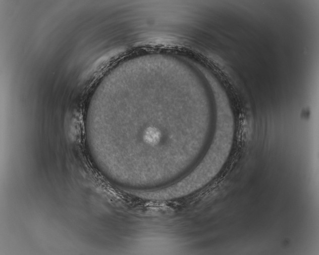 X0000114410918200911271522