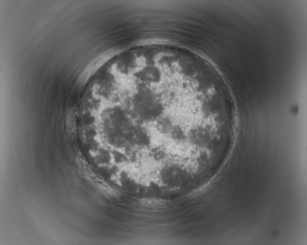 X0000114410921200911271522