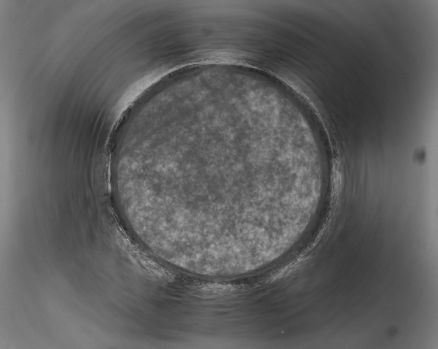 X0000114410925200911271523