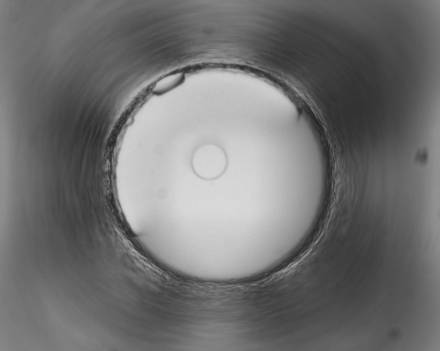 X0000114410926200911271523