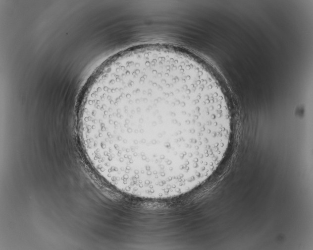 X0000114410927200911271523