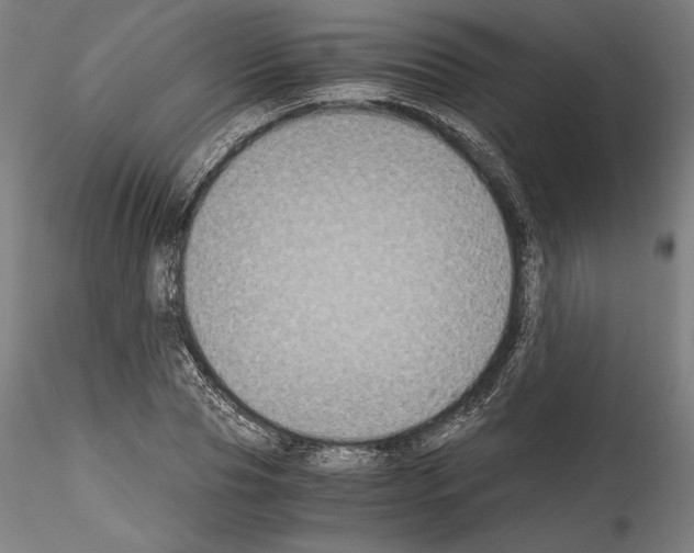 X0000114410929200911271523