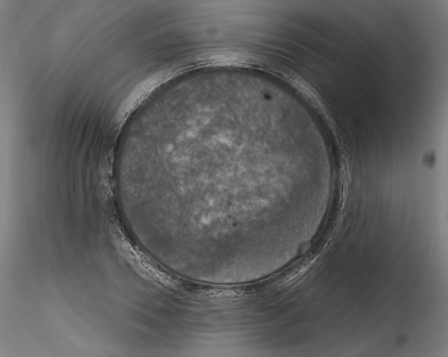 X0000114410930200911271523