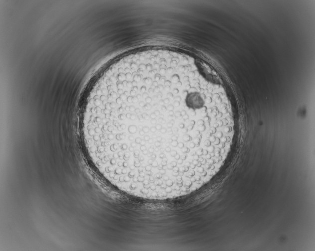 X0000114410931200911271523