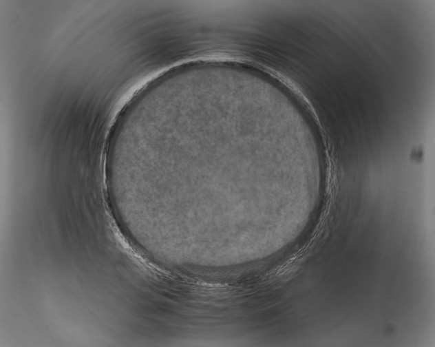 X0000114410935200911271523