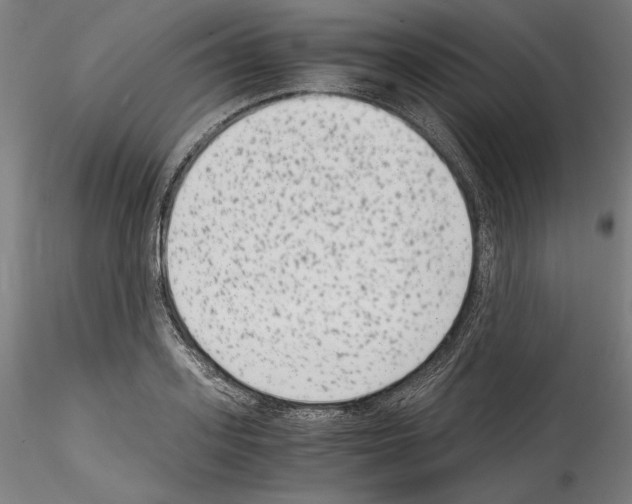 X0000114410939200911271523