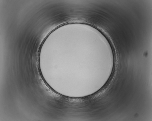 X0000114410941200911271523