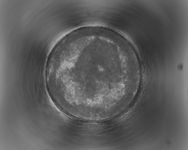 X0000114410943200911271523