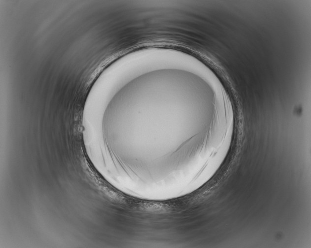 X0000114410945200911271523