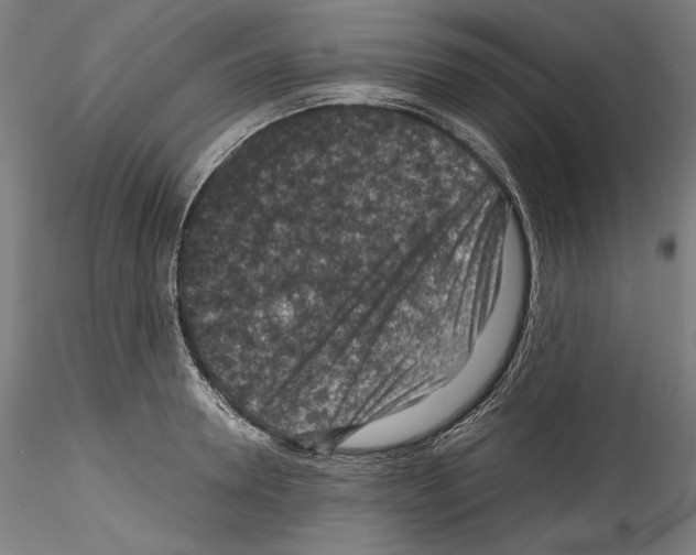 X0000114410946200911271523