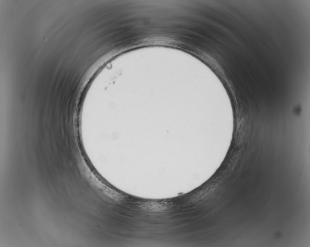 X0000114410947200911271523