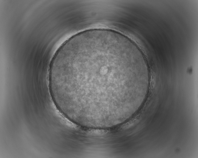 X0000114410950200911271523