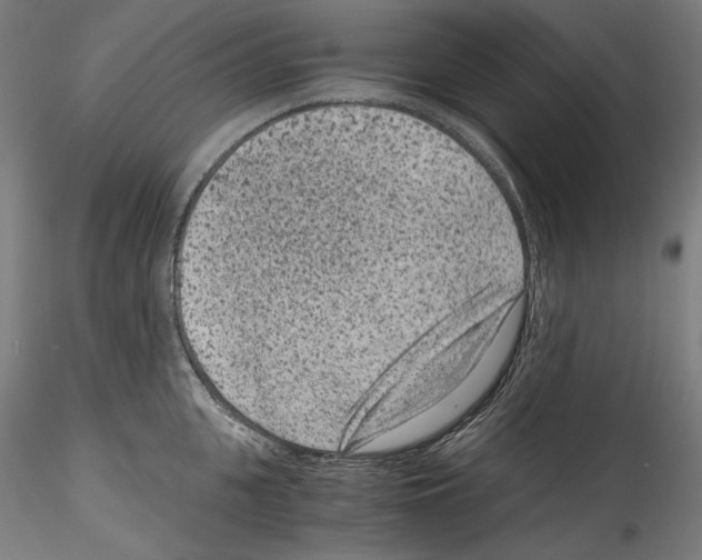 X0000114410951200911271523