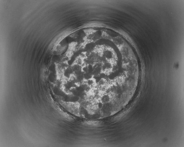 X0000114410953200911271523