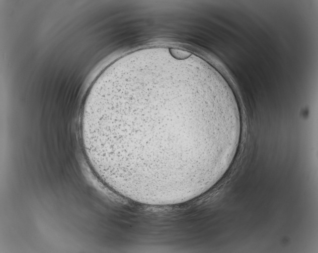 X0000114410955200911271523