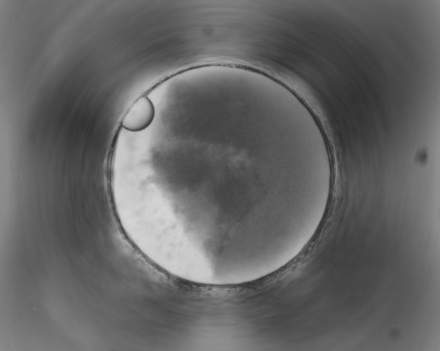 X0000114410958200911271523