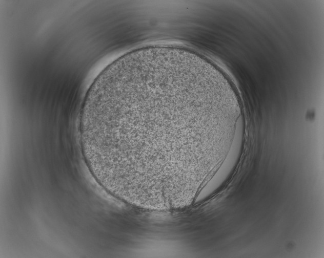 X0000114410959200911271523