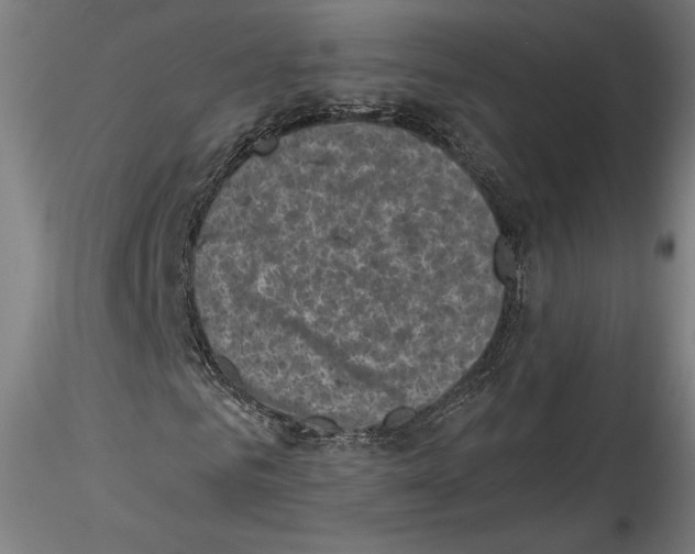 X0000114410961200911271522