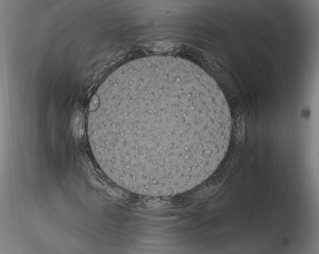 X0000114410962200911271522