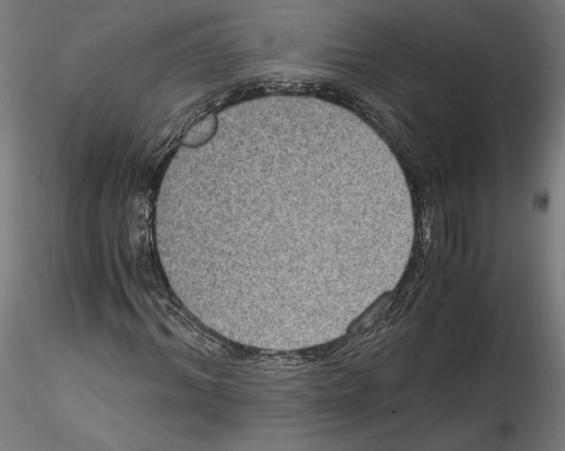 X0000114410964200911271522