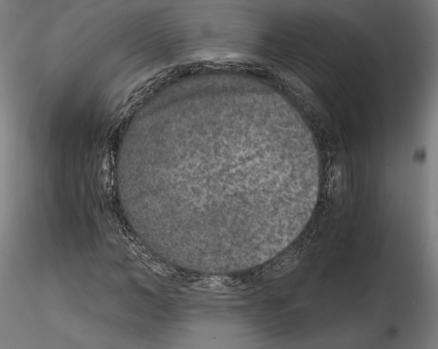 X0000114410966200911271522