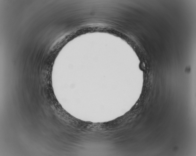 X0000114410967200911271522