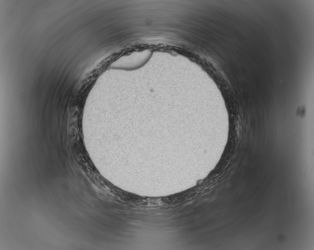 X0000114410968200911271522