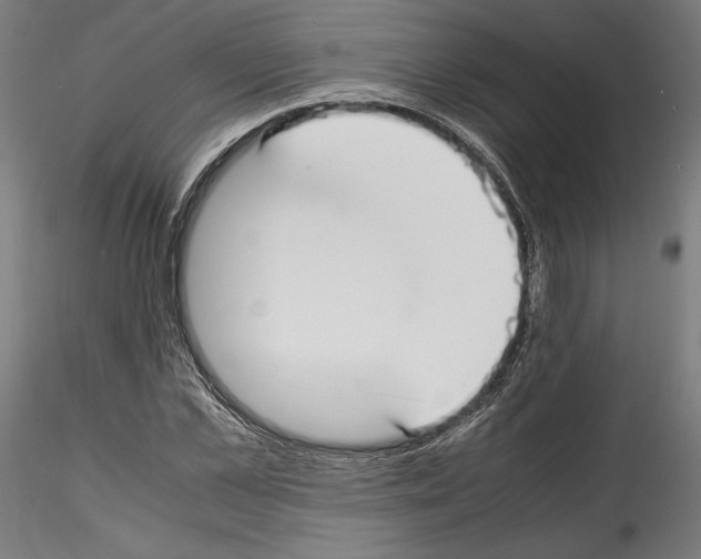 X0000114410973200911271522