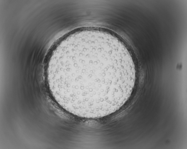 X0000114410974200911271522