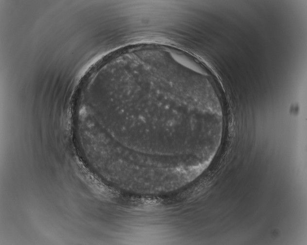 X0000114410975200911271522