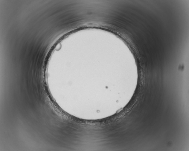 X0000114410976200911271522