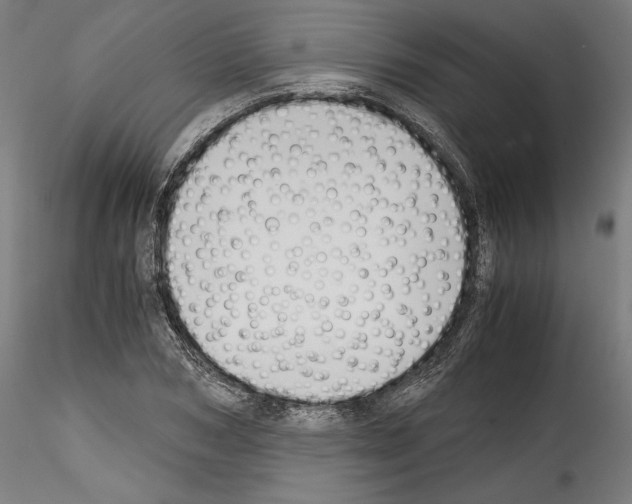 X0000114410978200911271522