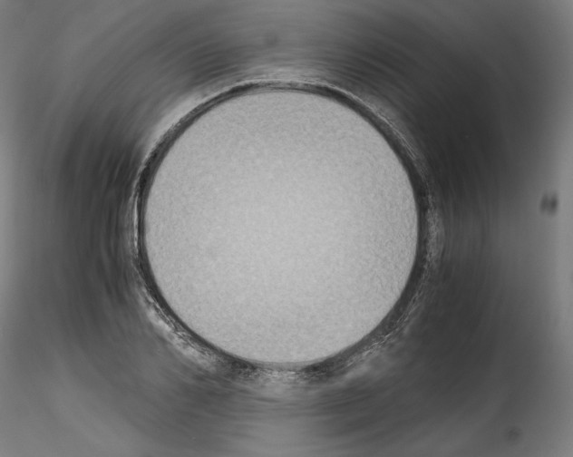 X0000114410982200911271522