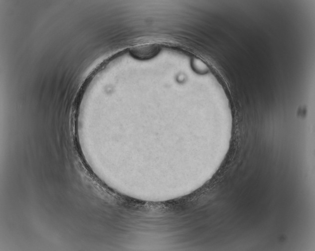 X0000114410983200911271522