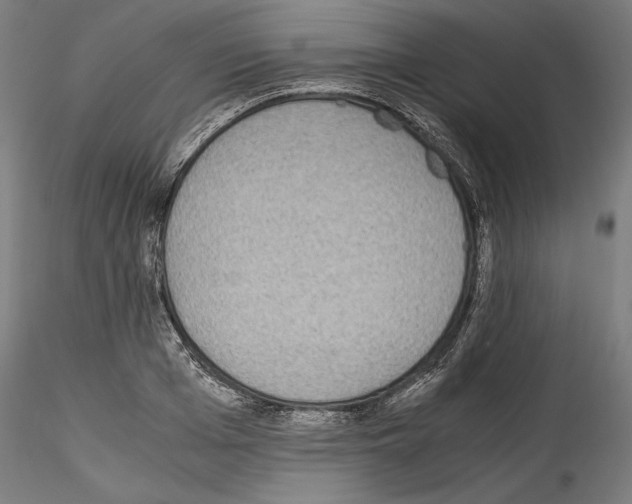 X0000114410985200911271522