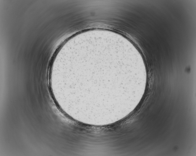 X0000114410987200911271522