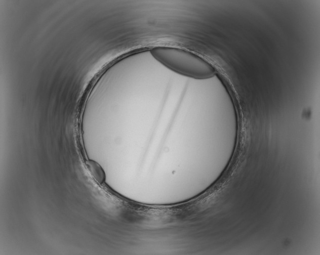 X0000114410989200911271522