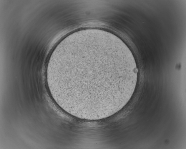 X0000114410990200911271522