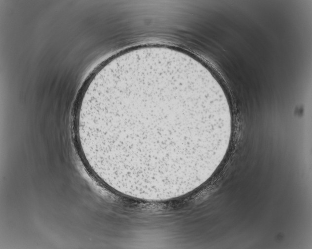 X0000114410991200911271522