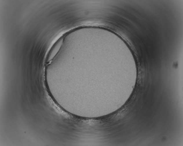 X0000114410992200911271522