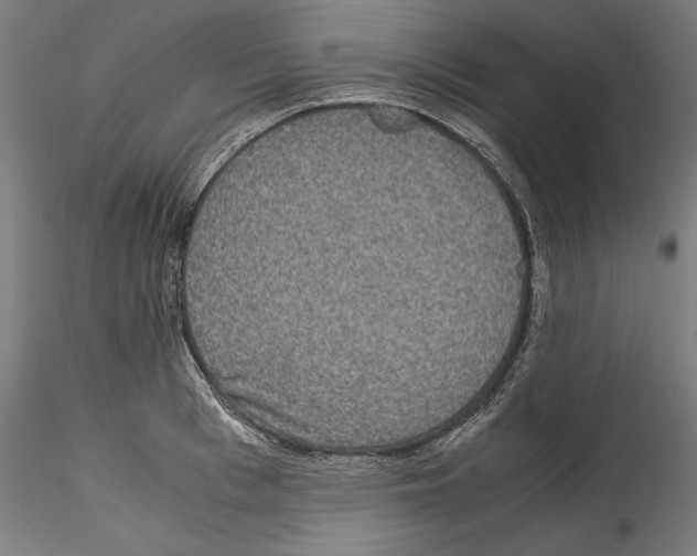 X0000114410993200911271522