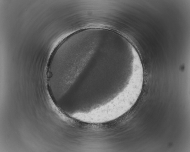 X0000114410995200911271522