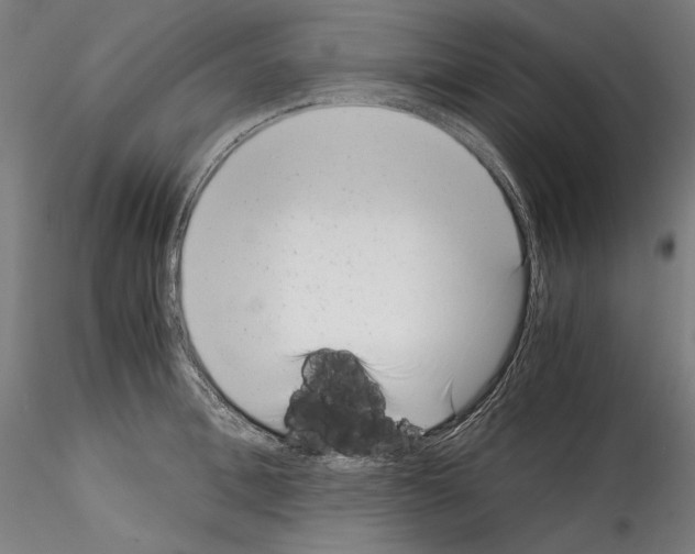 X0000114410996200911271522