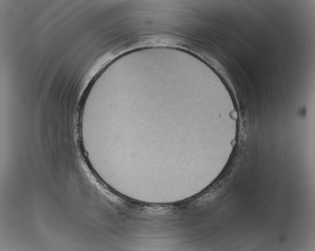 X0000114410997200911271521