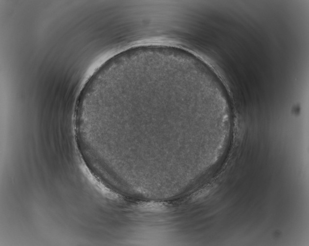 X0000114410998200911271521