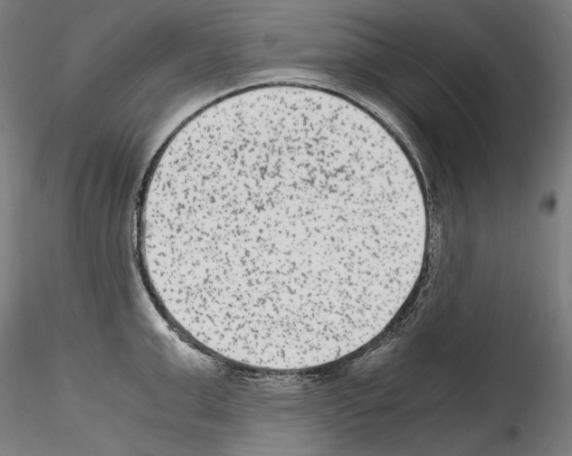 X0000114410999200911271521