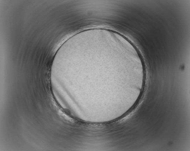 X0000114411001200911271521