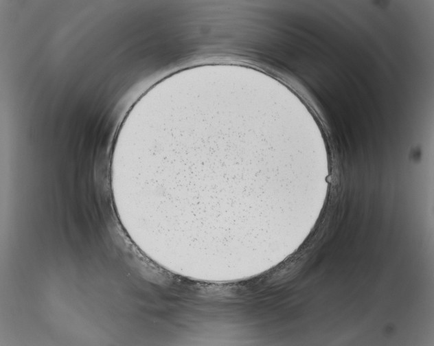 X0000114411004200911271521