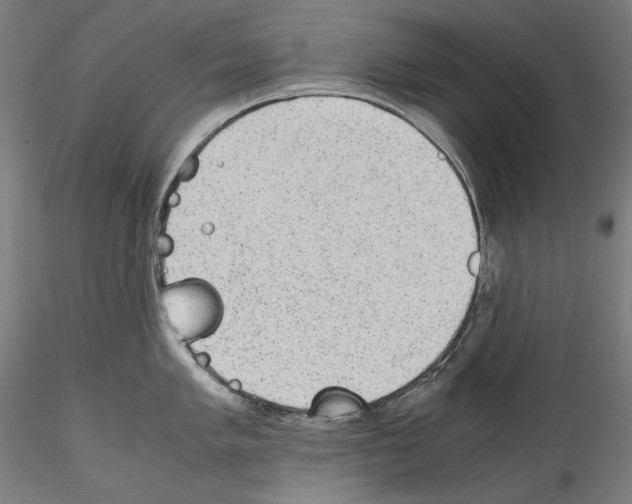 X0000114411005200911271521