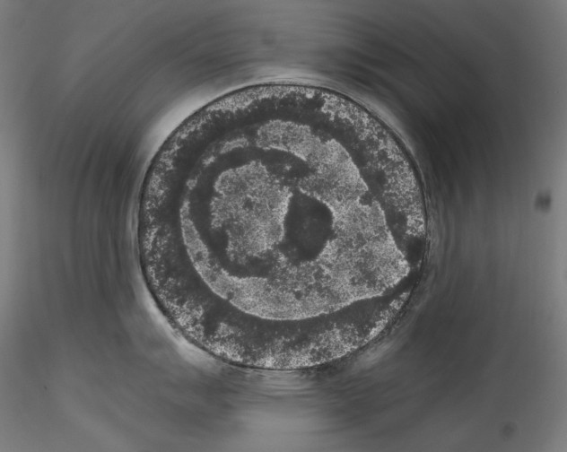 X0000114411007200911271521